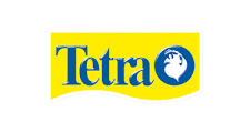 tetra